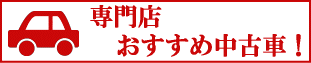 ���Ђ��������ߒ��Îԏ��